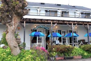 Pension after d's, Atami