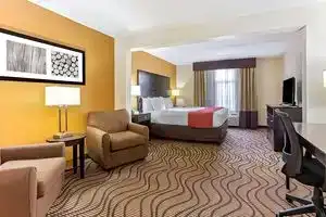 Comfort Inn & Suites Tampa North I-75, Tampa