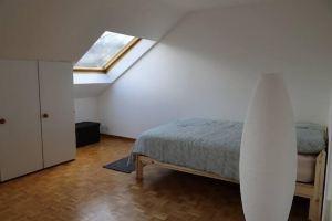 Service Loft in Central Apartments, Geneva
