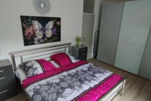 Beautiful vacation apartment with indoor pool and a bio and steam sauna, Bad Harzburg