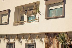 Atlantic & Atlas View Hotel, Agadir