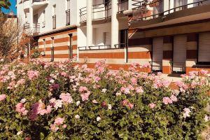 Large apartment T2 48 M2 - Place des Vosges & Sciences po area, Nancy