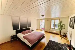Newly Furnished Beautiful Old Building Apartment in the Center with Apple TV O1, St. Gallen
