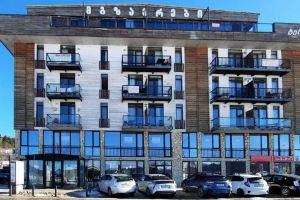 Stylish 1-bedroom apartment in ski resort, Bakuriani