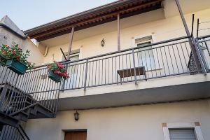 The citrus fruits of Nonna Peppina - Apartment Oranges, Mondragone