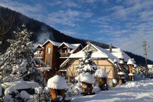 Guest House Anastasia, Tatariv