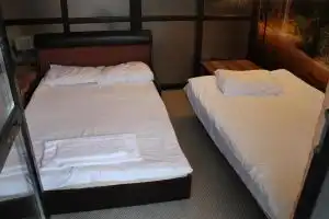 Pamporovo Hotel Snezhanka A425, Pamporovo