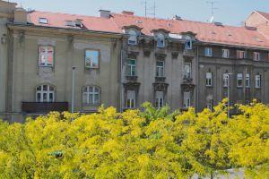 Zest and Nest Apartments in the Center, Zagreb