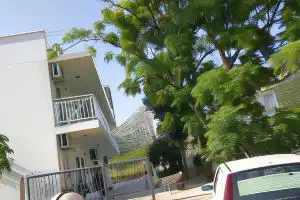 Guest House Levant, Canj