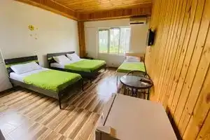 Hotels