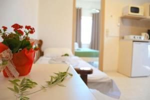 Litinas Apartments, Kato Daratso