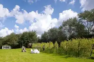 Krefeld - Hotels