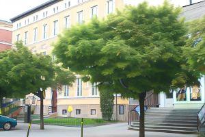 Apartamenty Nad Łyną, Olsztyn