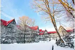 Hotel Green Plaza Karuizawa, Karuizawa