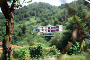 Family Holiday Center Kvari Hotel, Kvariati