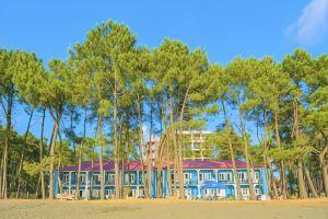 Evrika Hotel Shekvetili, Shekhvetili