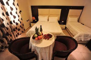 Hotel Vila e Arte City Center, Tirana
