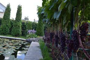 Teremki Guest House, Suzdal