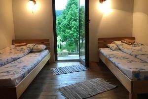Motel Zaborje, Pluzine