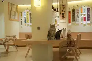 Cat·Twelve Cat Café & Guesthouse, Suzhou