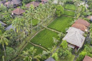 Ananda Ubud Resort, Ubud