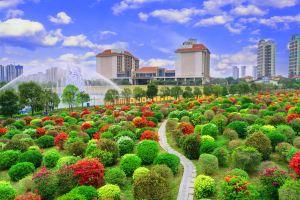 Qianhuazhou Holiday Hotel, Huizhou