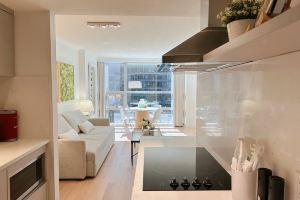 Downtown Luxury Suite w/ Private Kitchen, Laundry, Parking Hotel, Vancouver