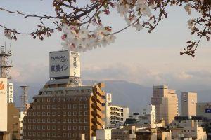 Toyoko Inn Kofu Eki Minami Guchi No 1, Kofu