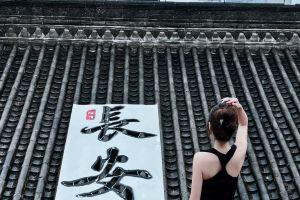 Jinhao Hotel (Xi'an Giant Wild Goose Pagoda), Xi'an