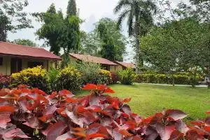 Chitwan Park Resort, Sauraha