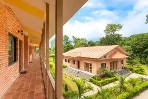 Badreni Jungle Resort, Sauraha