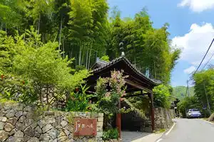 Kiwi Mountain Villa, Deqing