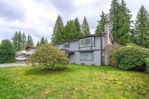 Private 1 bedroom in Brookswood, Langley