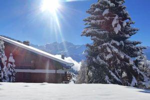 Rousserolles 1 - Two Bedroom, Verbier