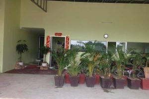 Bokor Bay Tong Guesthouse, Kampot