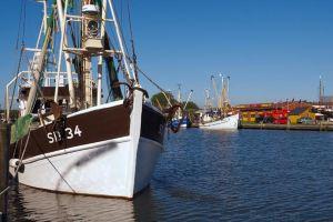 Haus Gisela Cottage, Busum