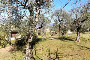 Casa Quercia, Torri del Benaco