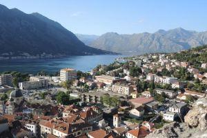 Apartment Mimosa, Kotor