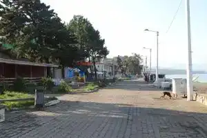Festina Lente, Kobuleti