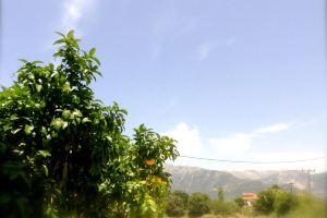Michalis Place Apartments, Vasiliki