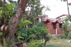 Selavi Resort Bentota, Bentota