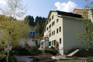 Gorska Zvezda Hotel, Borovets