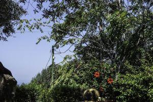 Villa La Susina, Anacapri