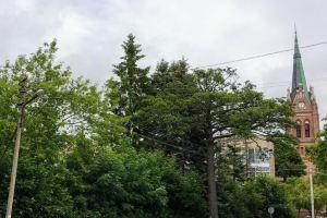 Apartment Heart of, Palanga