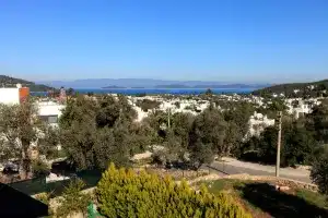 Celebi Villaları, Torba