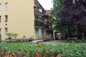 Viola Apartman, Eger
