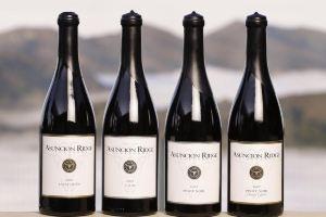 Asuncion Ridge Vineyards and Inn, Paso Robles