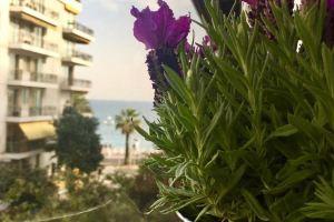 Studios Gambetta, Nice