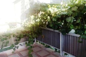 Safe House Komitas Street 45/1, Yerevan