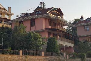 Orhan Boran Villa, Trabzon